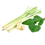 saigon baigur gin – saigão, vietname