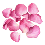 atian rose gin – western cape, África do sul