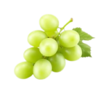 aa badenhorst secateurs chenin blanc 2024 – swartland, África do sul